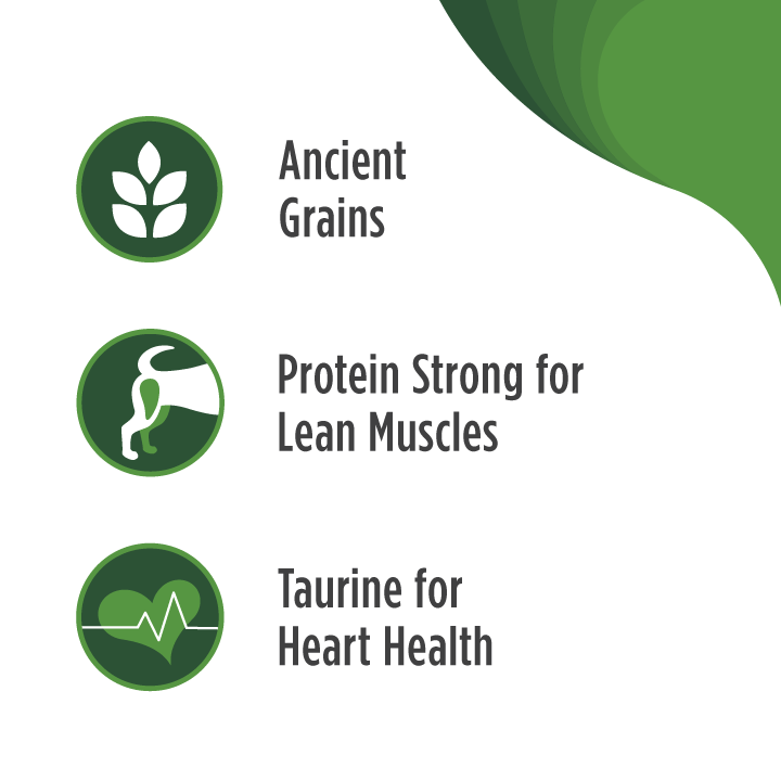 Nulo Frontrunner High-Meat Kibble for Puppies - chicken, oats & turkey recipe