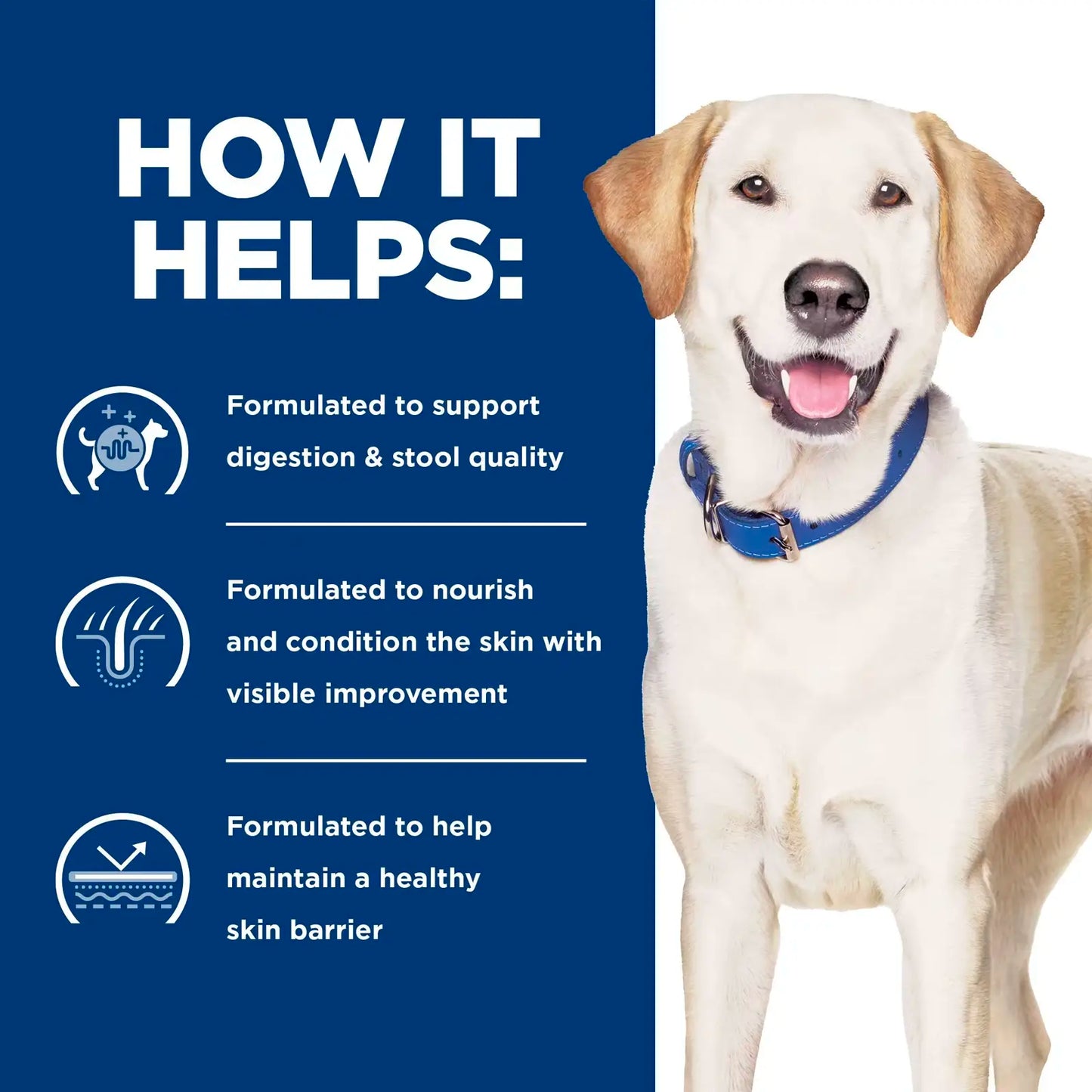 Hill's Prescription Diet - Canine D/D Skin Sensitivities "Potato & Duck" 8lbs