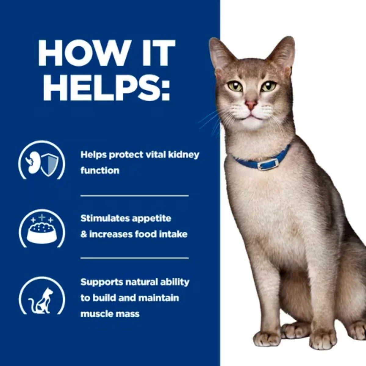 Hill's k/d Kidney Care Prescription Cat Food Pouch - Chicken | Vetopia
