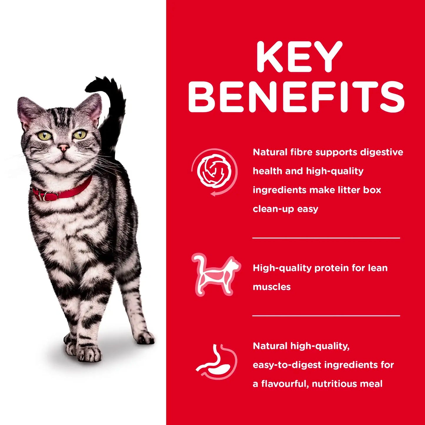 Hill's Science Diet - Feline Adult Indoor