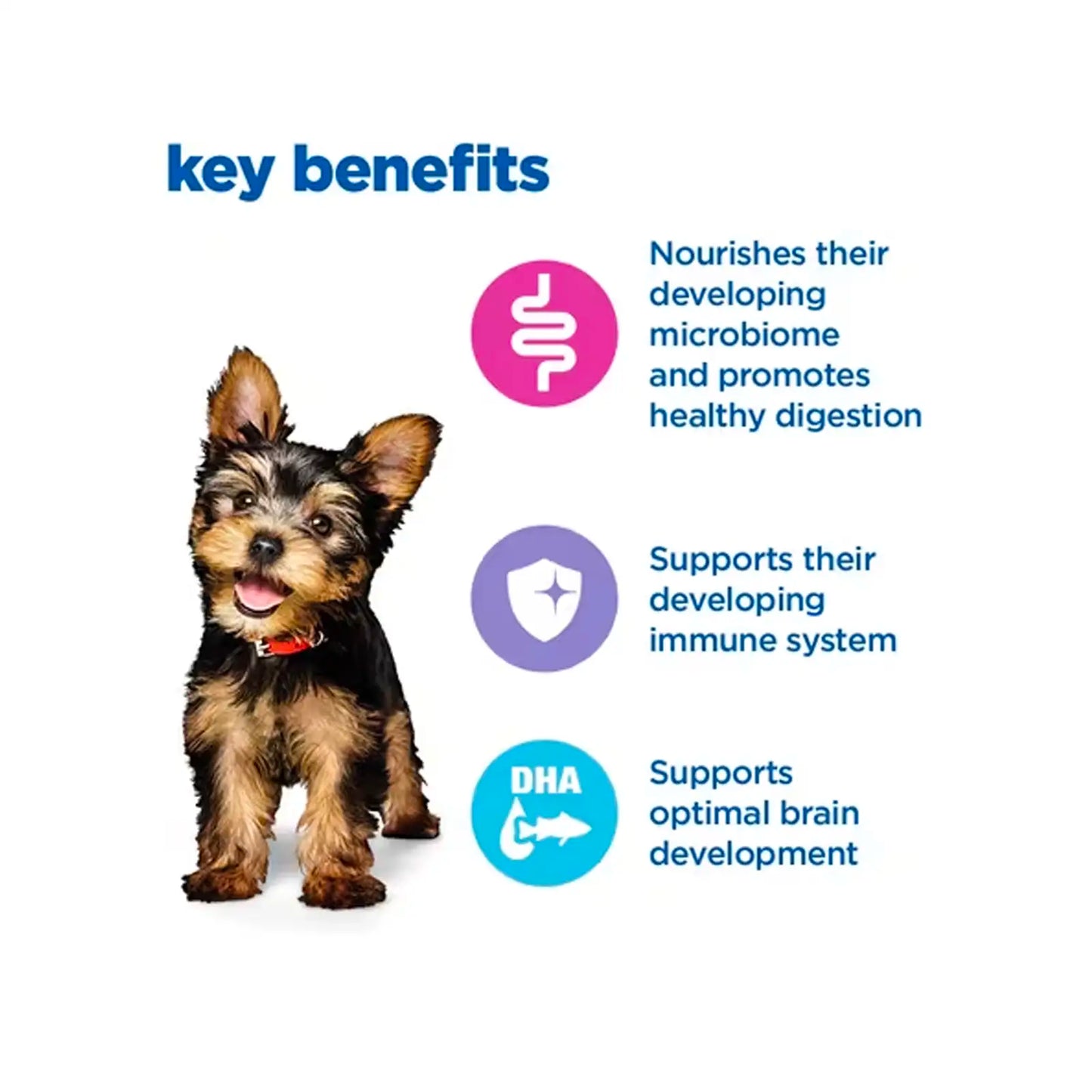 Hill's VetEssentials Diet Mini Puppy Dog Food - Vetopia Online Store