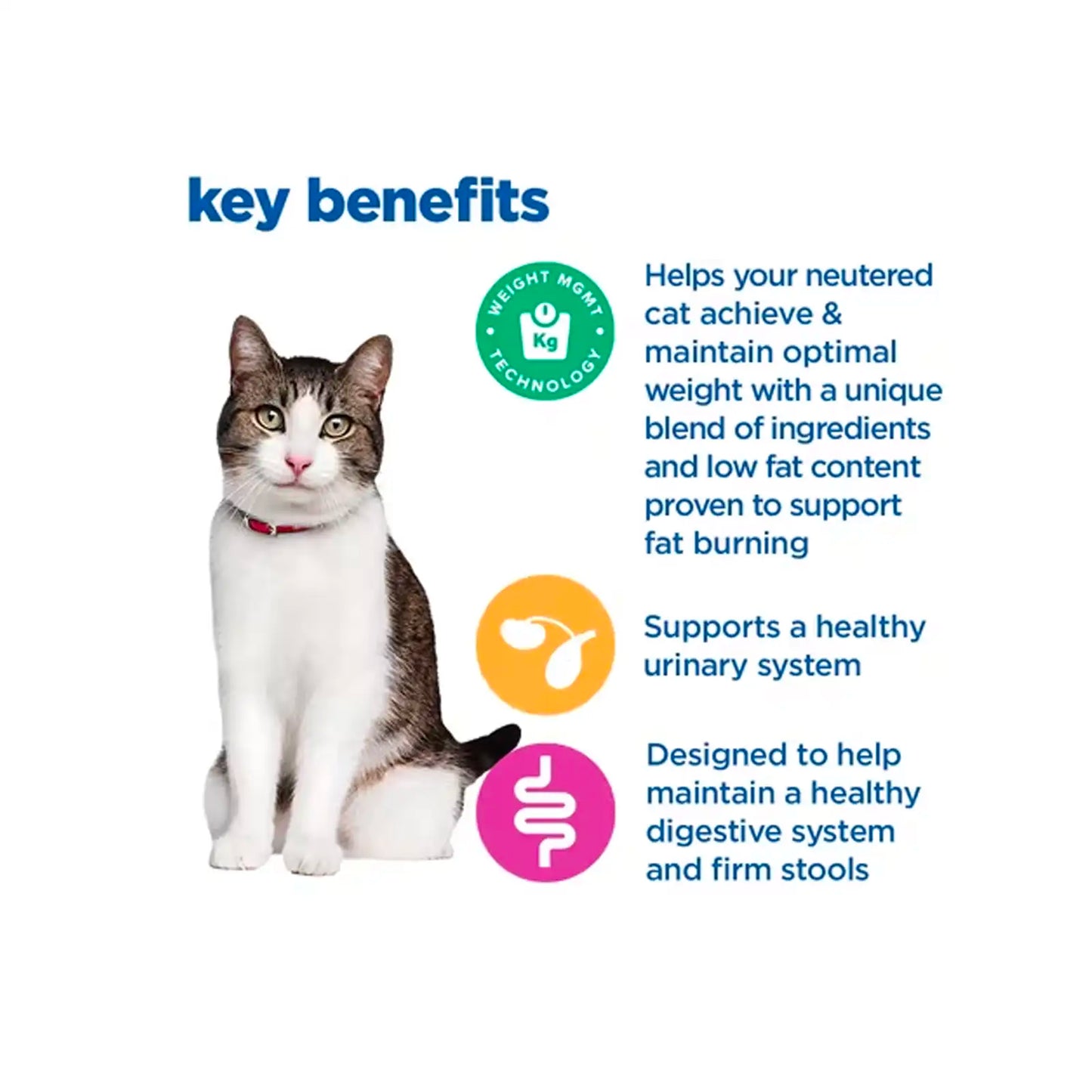 Hill's VetEssentials Neutered Young Adult Cat Food - Vetopia