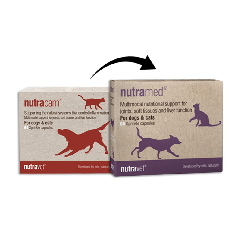 Nutravet - Nutramed (Inflammation Control for Dogs & Cats) 60 caps ...