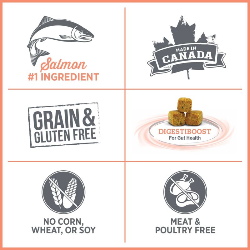 Nutrience Care Skin & Stomach – Hypoallergenic Cat Food - Vetopia