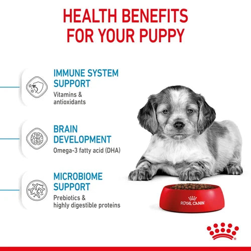 Royal Canin - Puppy Medium Dry Food