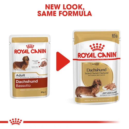 Royal Canin - Adult Dachshund Loaf Wet Food 85g