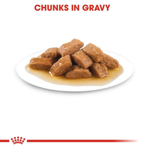 Royal Canin - Adult Medium Gravy Wet Food 140g