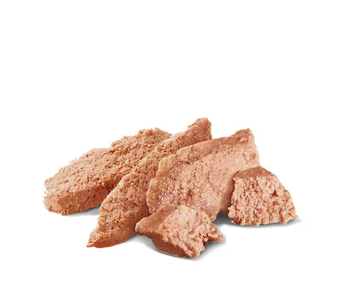 Royal Canin - Adult Pomeranian Loaf Wet Food 85g