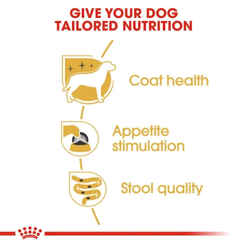 Royal Canin - Adult Yorkshire Terrier Loaf Wet Food 85g