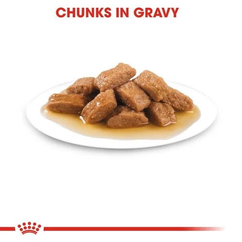 Royal Canin - Ageing 10+ Medium Gravy Wet Food 140g