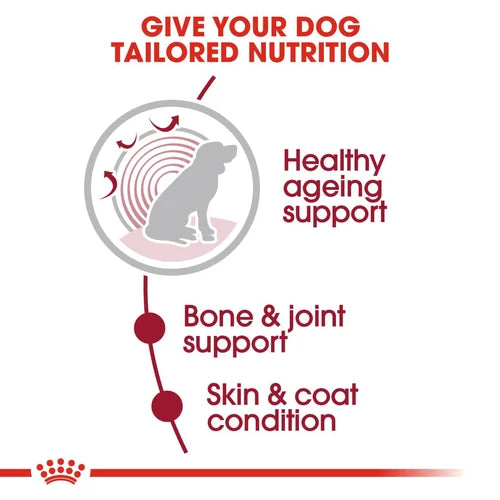 Royal Canin - Ageing 10+ Medium Gravy Wet Food 140g