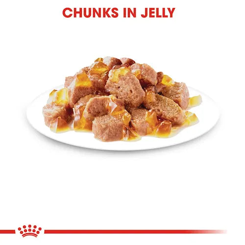 Royal Canin - Ageing 12+ Cat Wet Food in Jelly 85g