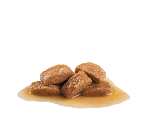 Royal Canin - Ageing 8+ MAXI Gravy Wet Food 140g