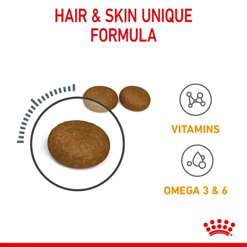 Royal Canin - Care Hair & Skin Cat Dry Food