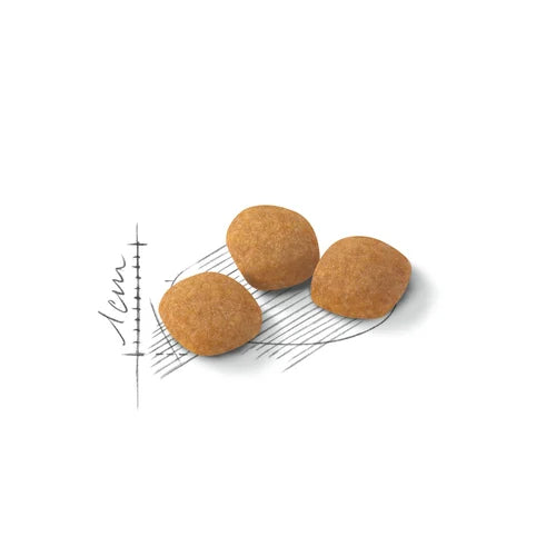 Royal Canin - Feline Preference Protein Exigent Dry Food