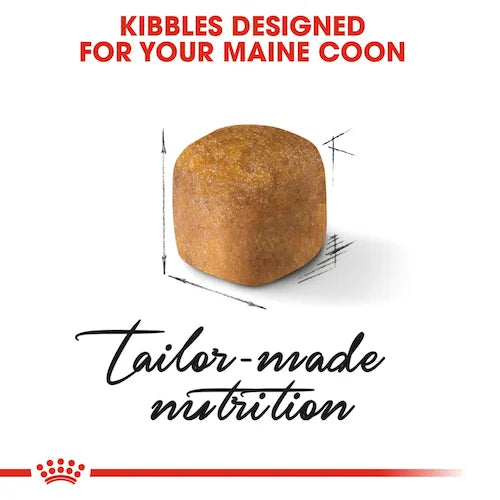 Royal Canin - Kitten Maine Coon Dry Food 10kg