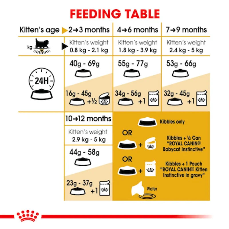 Royal Canin | Persian Kitten Dry Food | Vetopia