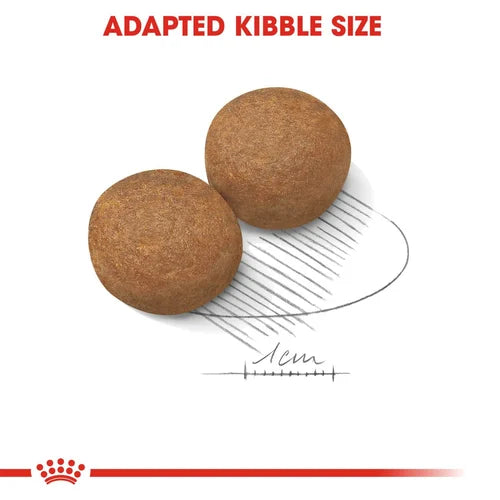 Royal Canin - MAXI Adult Dogs Dry Food