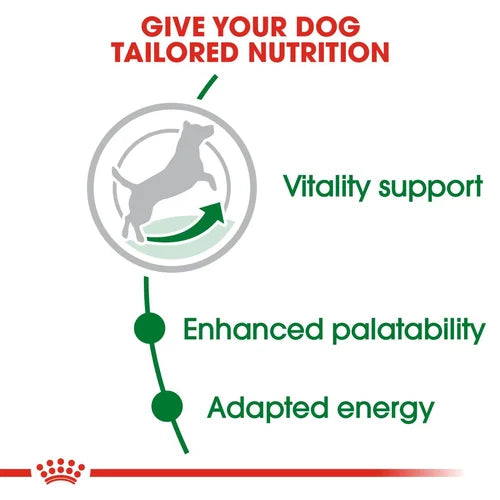 Royal Canin - Mini Adult 8+ Dogs Dry Food