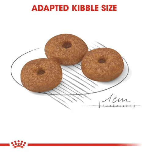 Royal Canin - Mini Ageing 12+ Dog Dry Food 1.5kg