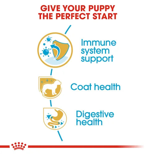 Royal Canin - Poodle Puppy Dry Food 3kg