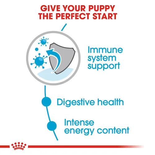 Royal Canin - Puppy Mini Gravy Wet Food 85g