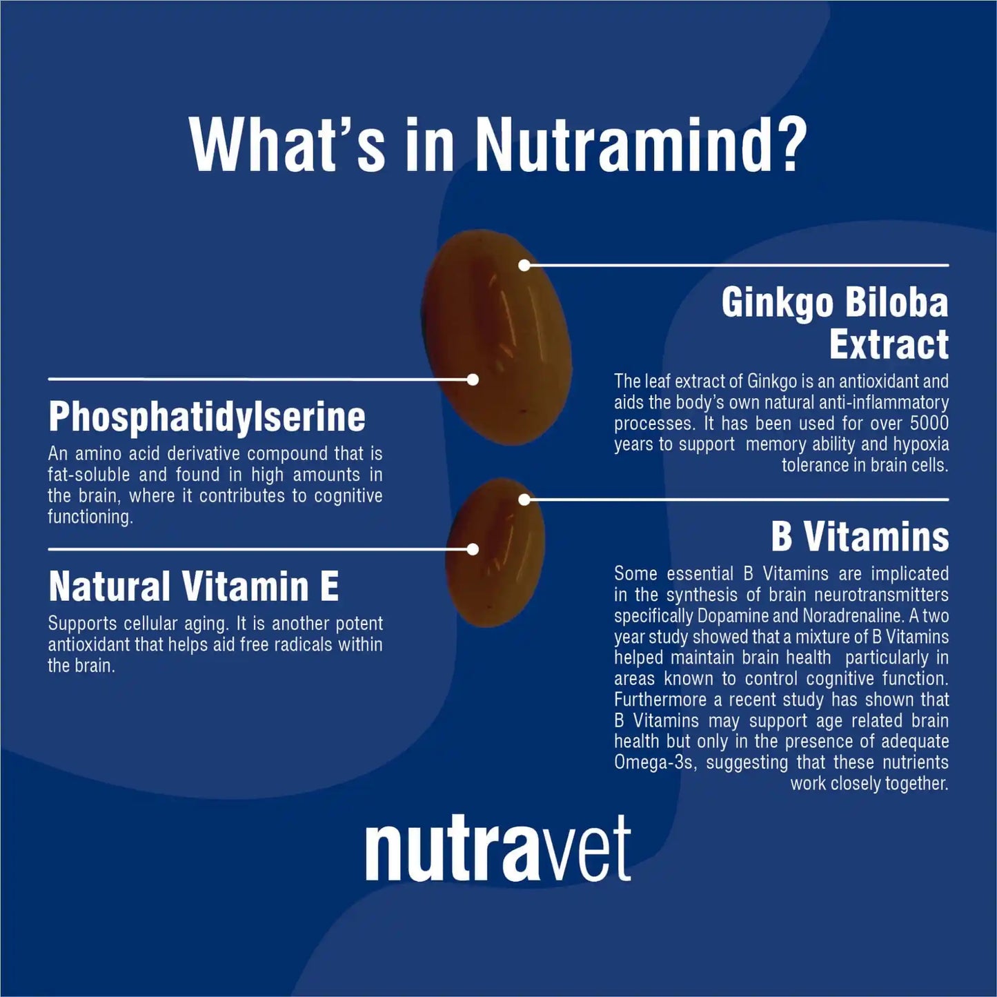 Nutramind (Brain Health Supplement for Dogs & Cats) 45 caps