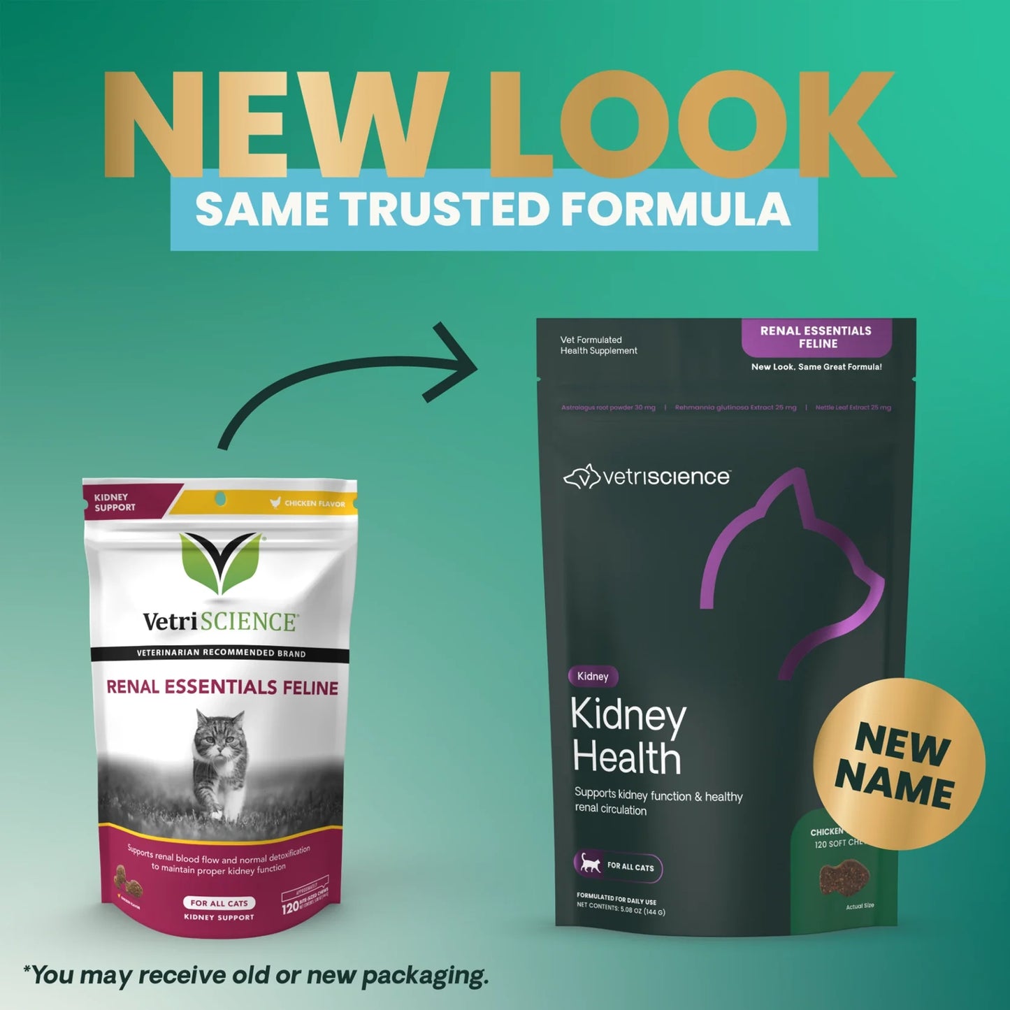 VetriScience - Feline Renal Essentials (Kidney Supplements for Cats) 120 Bite Sized Chews