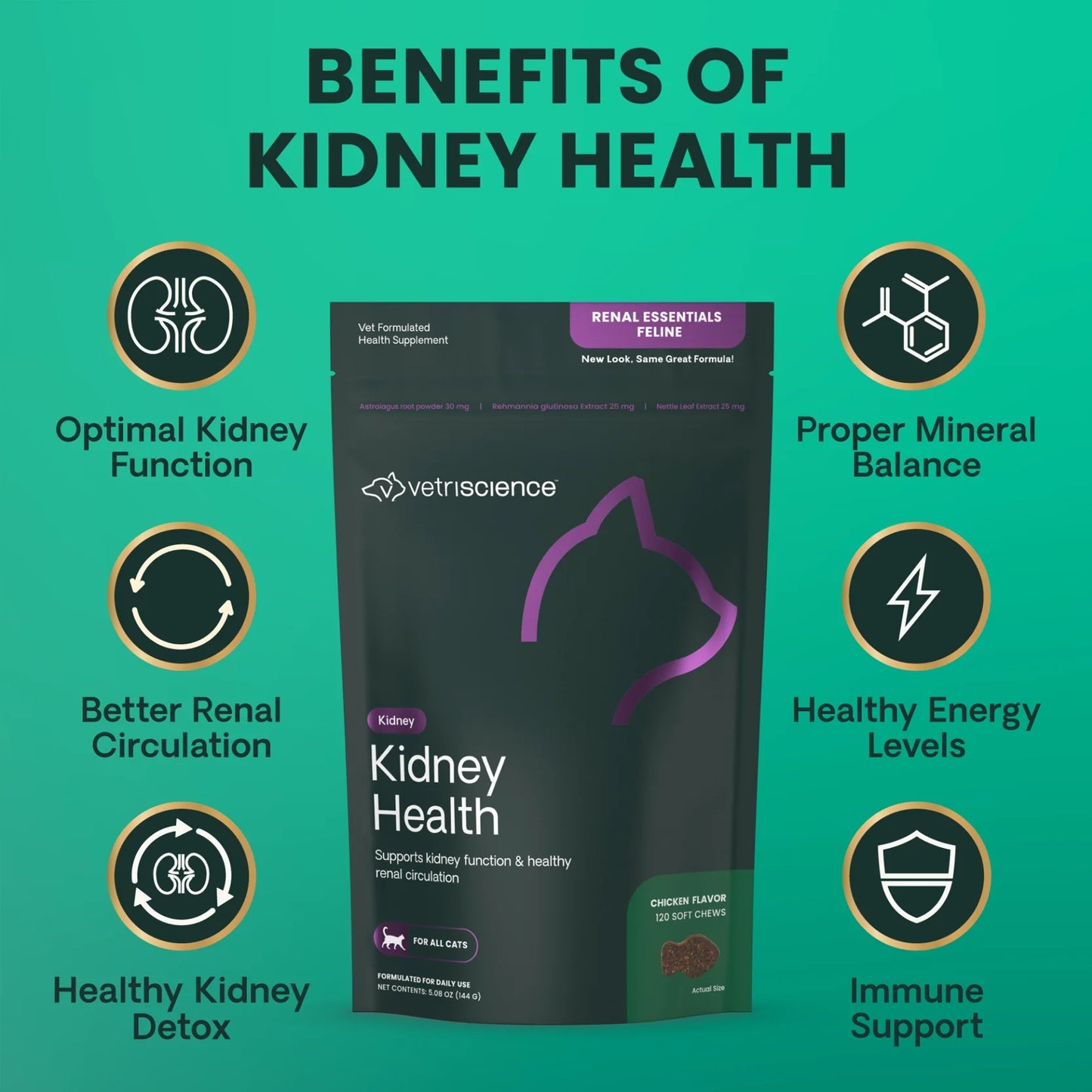 VetriScience - Feline Renal Essentials (Kidney Supplements for Cats) 120 Bite Sized Chews