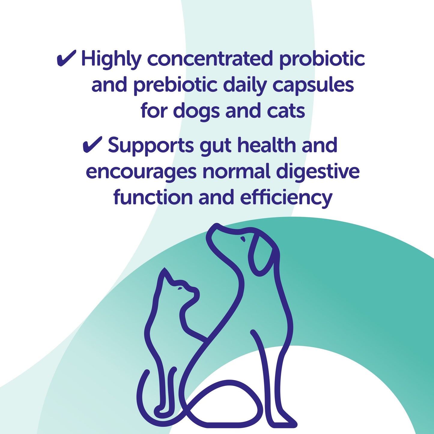 Protexin | Synbiotic D-C Digestive Supplement 50 Caps | Vetopia