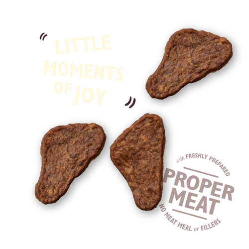 Lily's Kitchen - The Mighty Duck Mini Jerky 70g