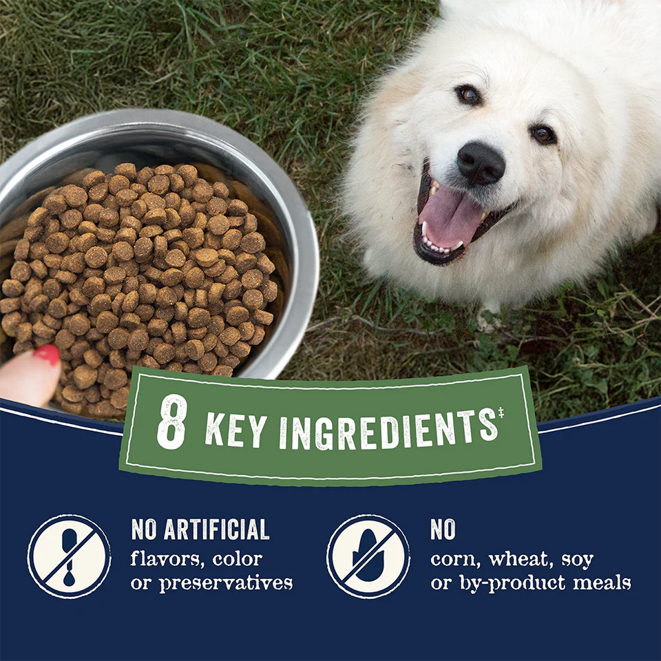 Canidae | PURE Dry Dog Food Grain Free Salmon | Vetopia