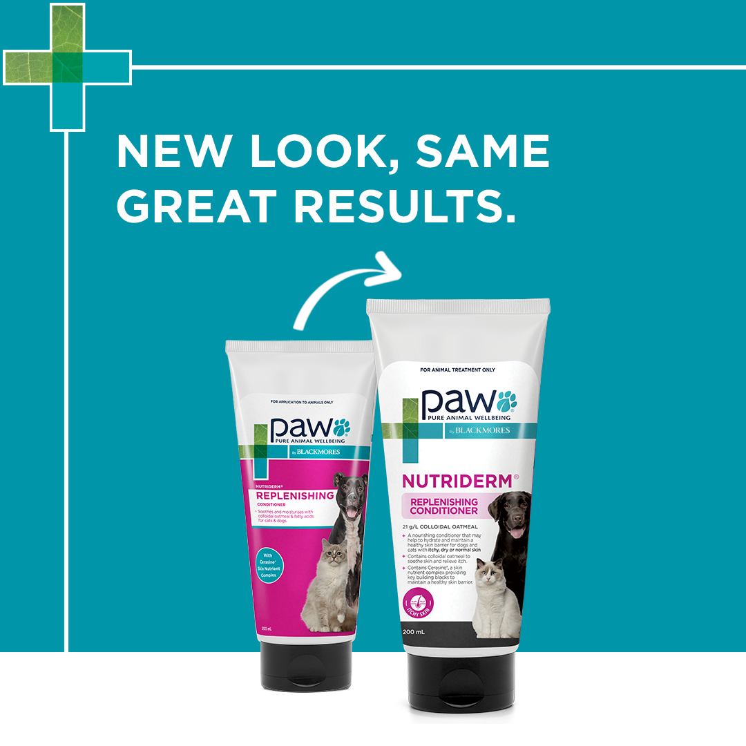 PAW by Blackmores | NutriDerm Oatmeal Conditioner for Pets | Vetopia