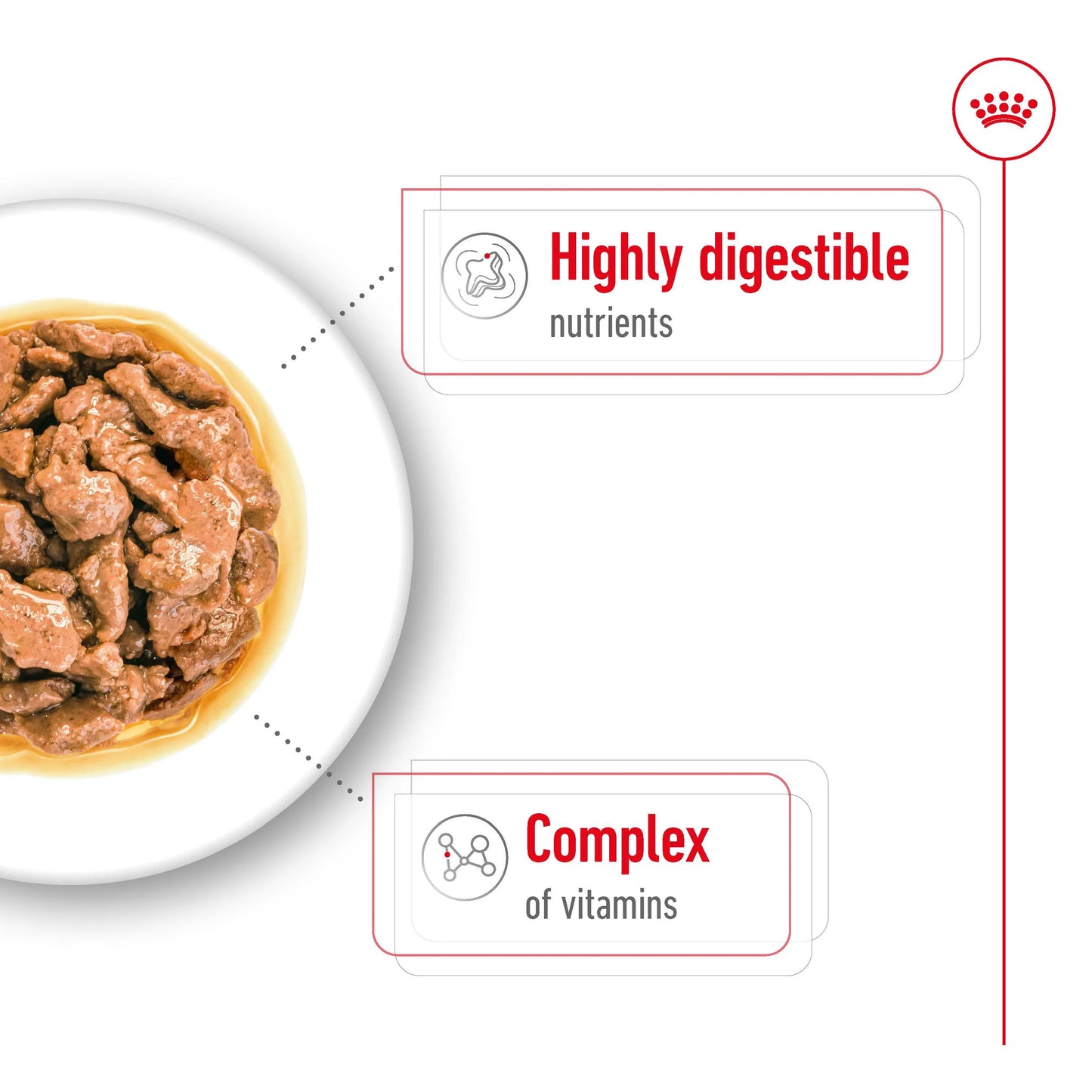 Royal Canin - Adult Mini Gravy Wet Food 85g