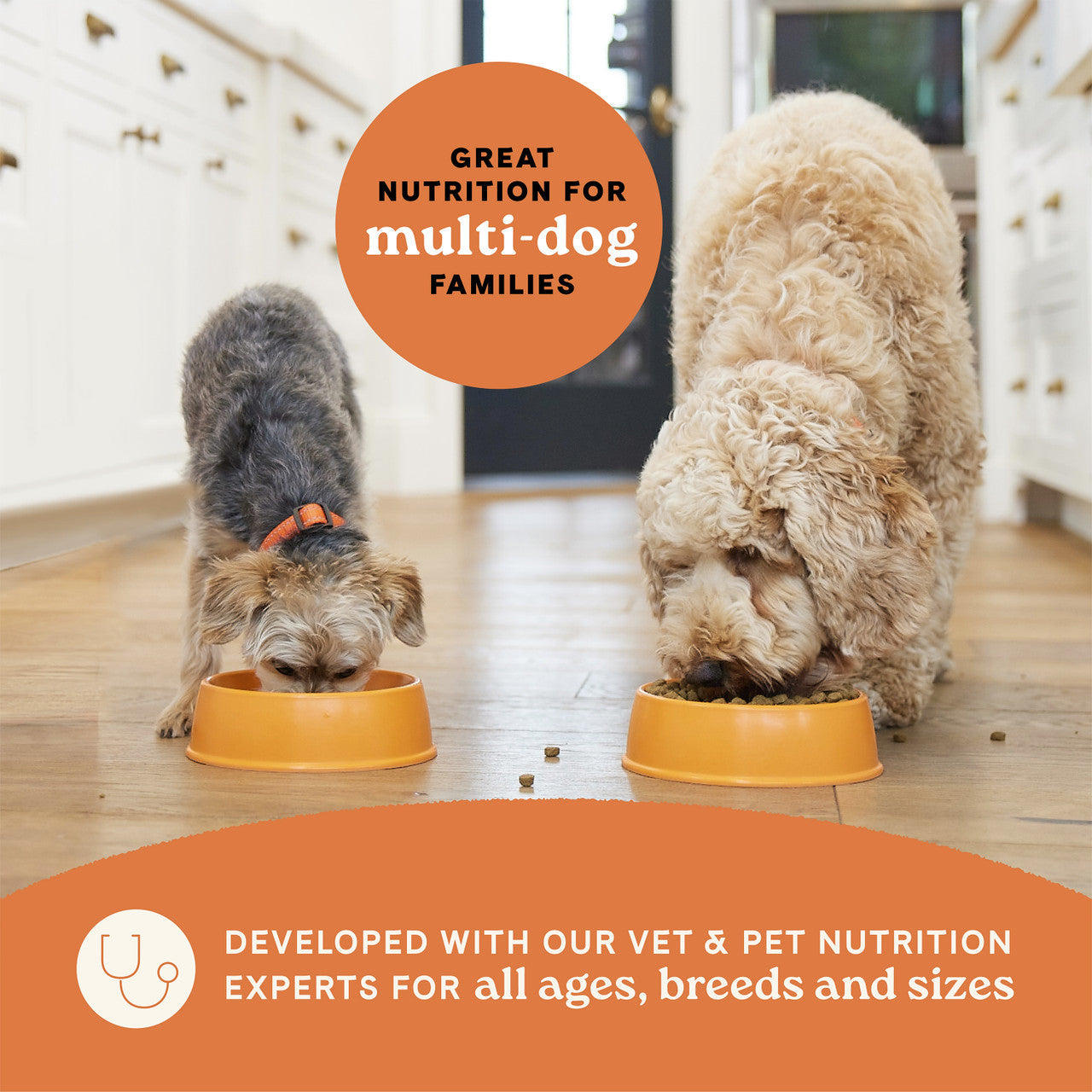 Canidae | All Life Stages Dry Dog Food - Chicken & Rice | Vetopia
