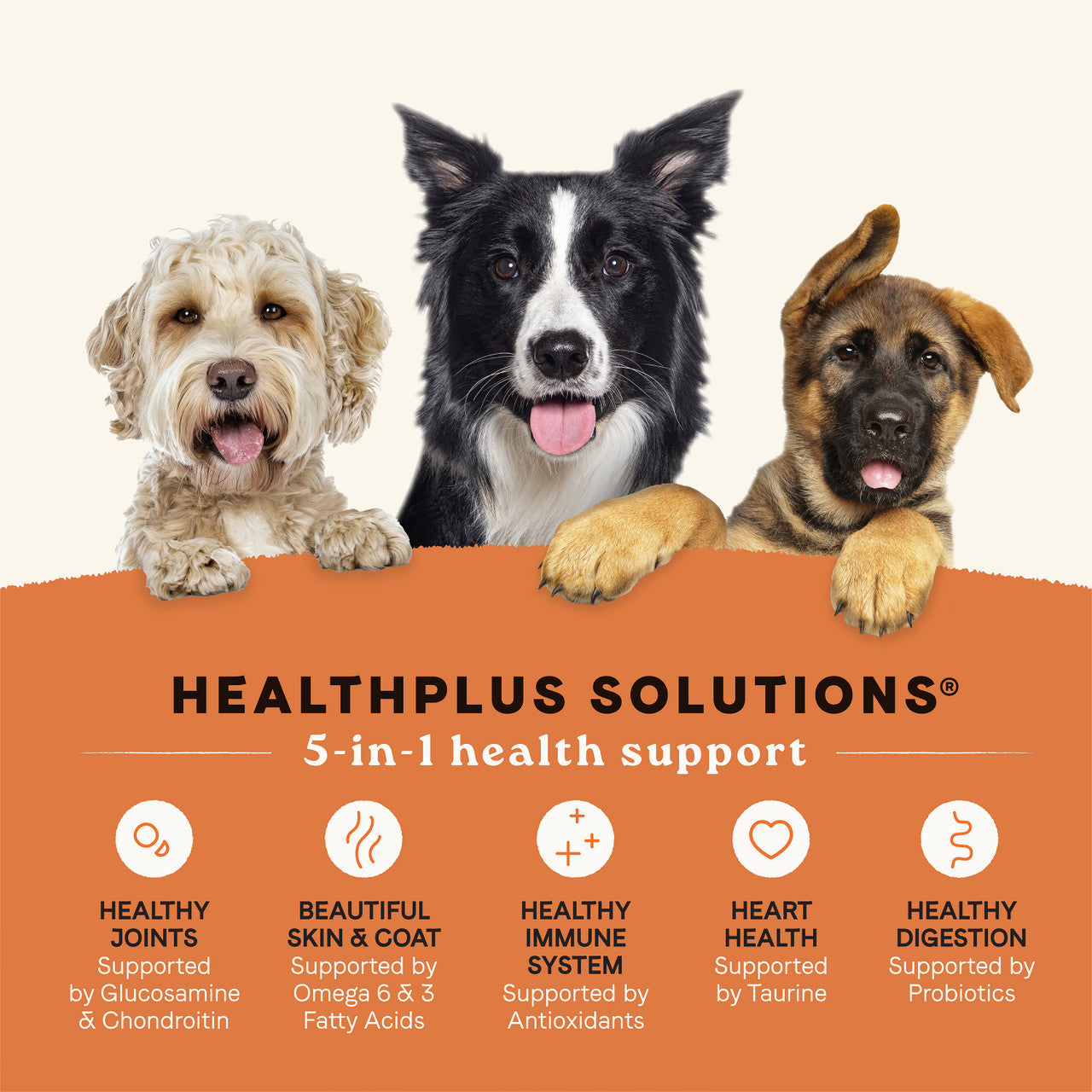 Canidae | All Life Stages Dry Dog Food - Lamb Meal & Rice | Vetopia
