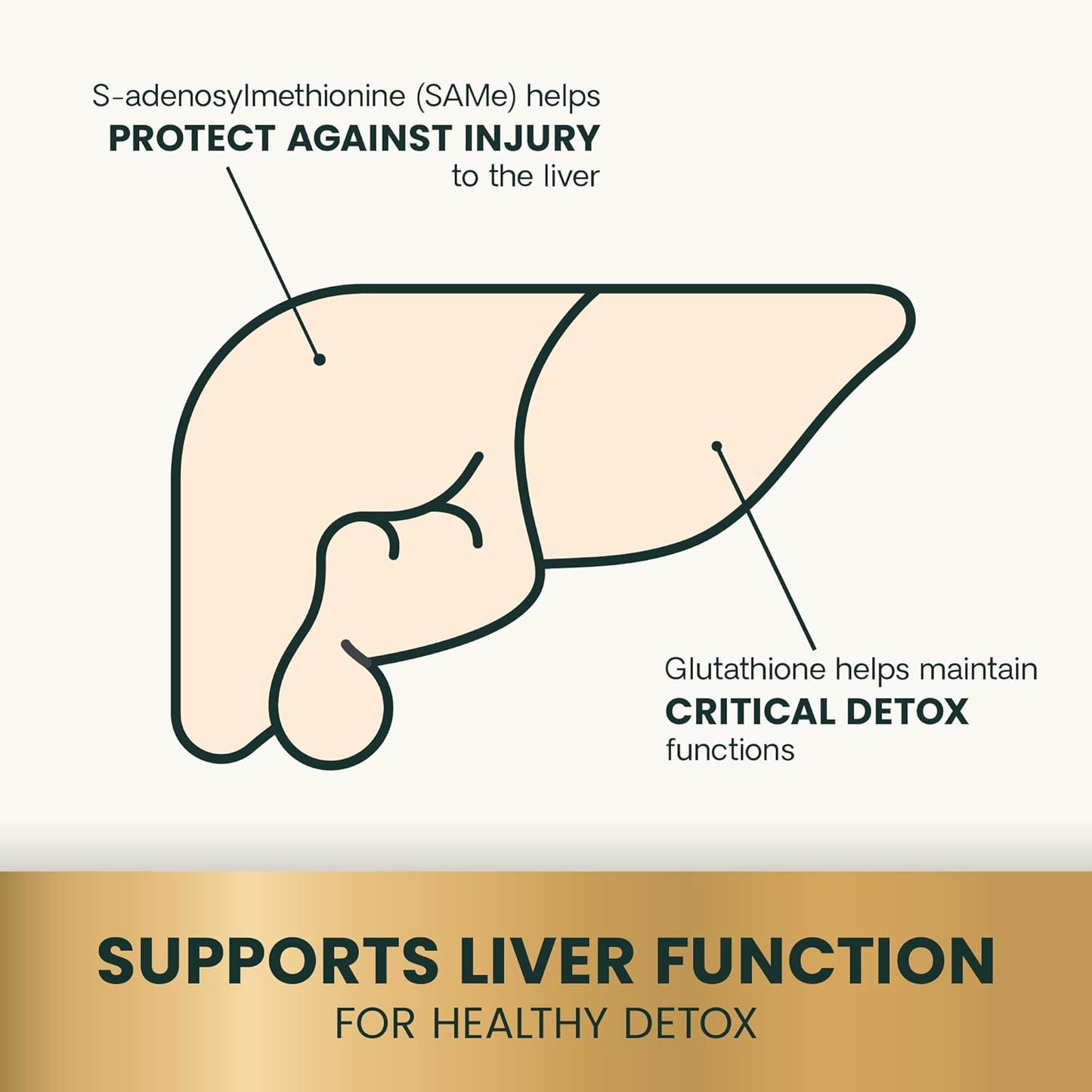 VetriScience - Vetri SAMe 225 (Liver Supplements for Dogs) 30 Tablets