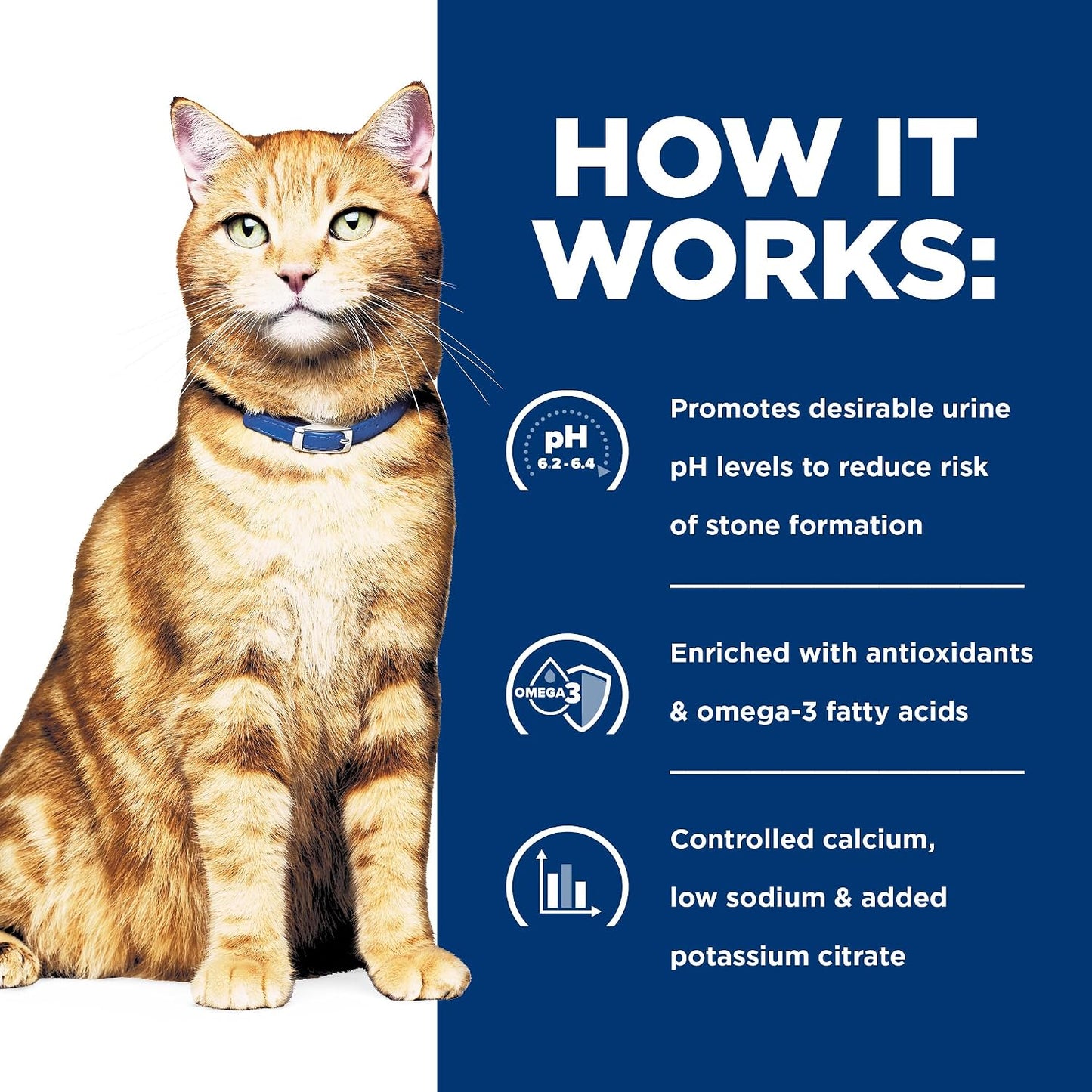 Hill's Prescription Diet | Feline C/D Multi Urinary Care | Vetopia