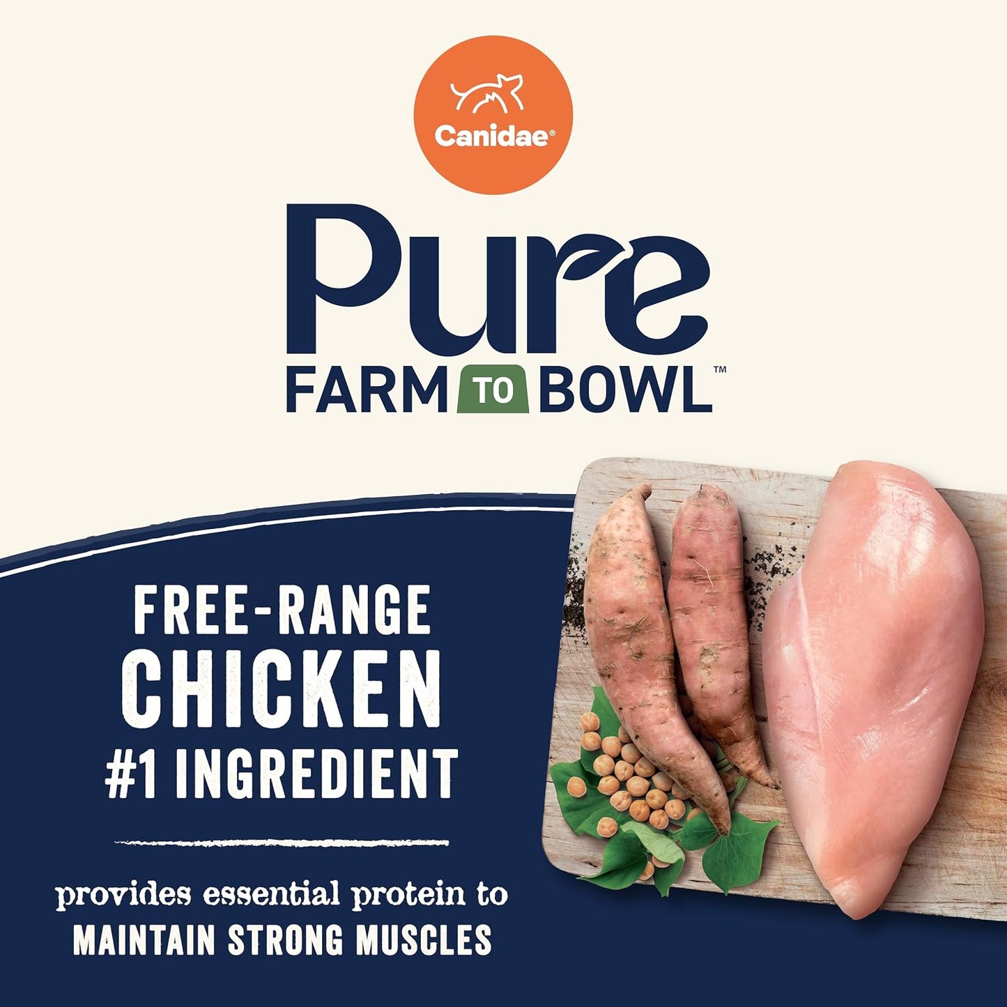 Canidae | PURE Senior Dry Dog Food Grain Free Chicken | Vetopia