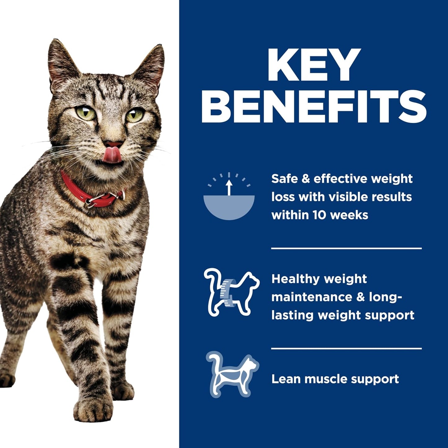 Hill's Science Diet - Feline Adult Perfect Weight Vegetable & Turkey Medley 2.9oz