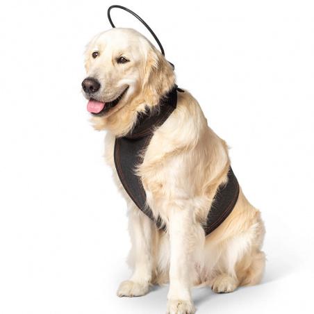 Rebound Vet Products - Calmer Canine