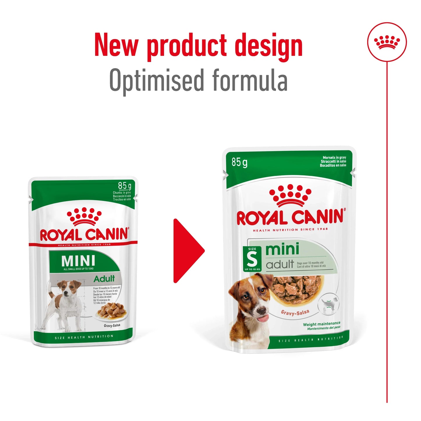 Royal Canin - Adult Mini Gravy Wet Food 85g