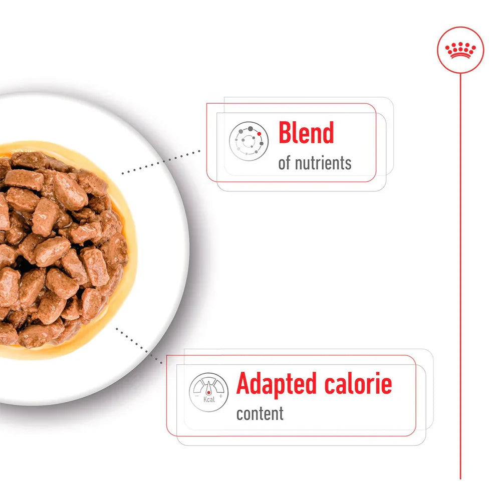 Royal Canin - Ageing 12+ Mini Dog Gravy Wet Food 85g