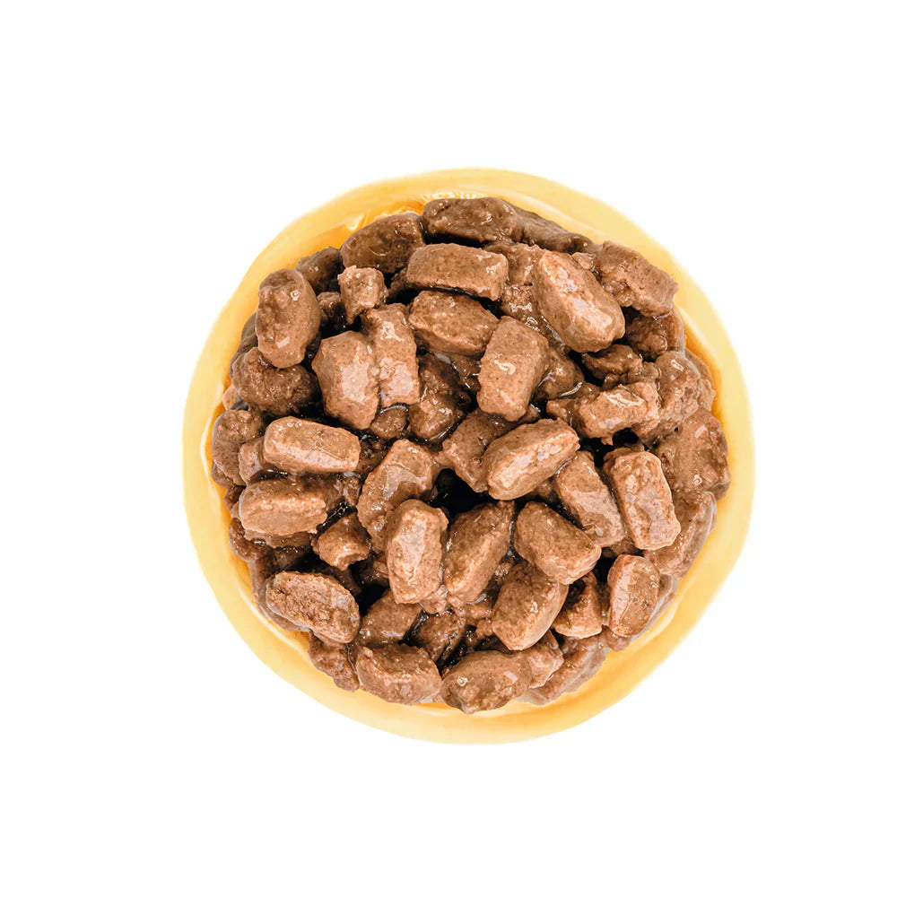 Royal Canin - Ageing 12+ Mini Dog Gravy Wet Food 85g