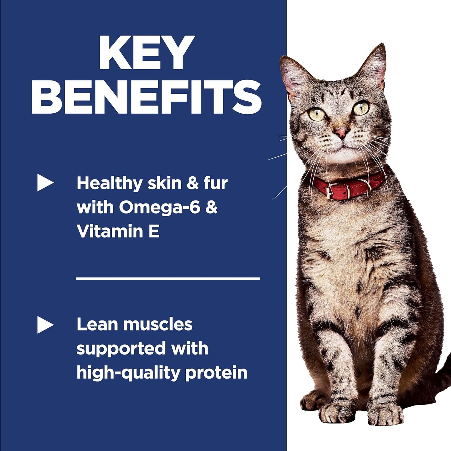 Hill's Science Diet Feline Adult Chicken Recipe