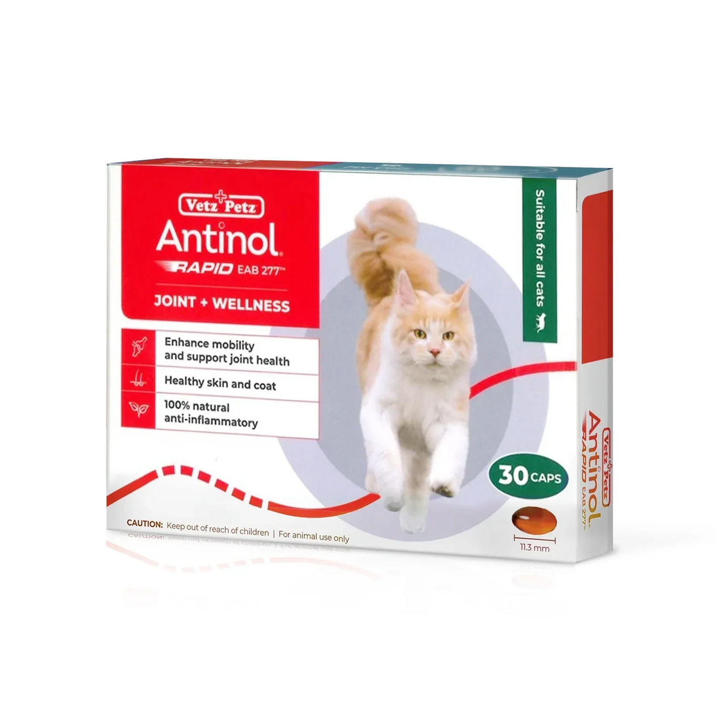 Antinol | RAPID Soft Gel Capsule (Joint Supplement for Cats)