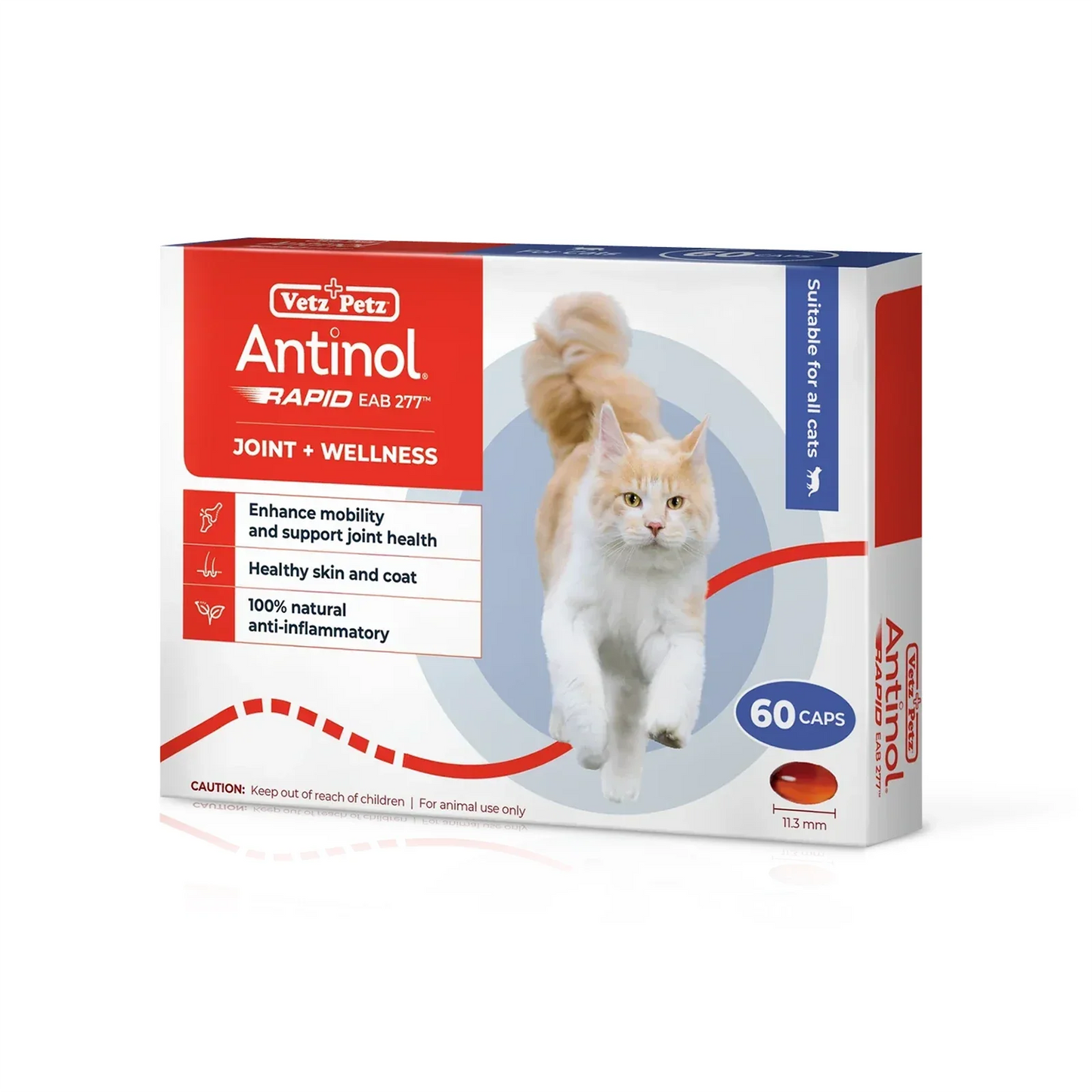 Antinol | RAPID Soft Gel Capsule (Joint Supplement for Cats)