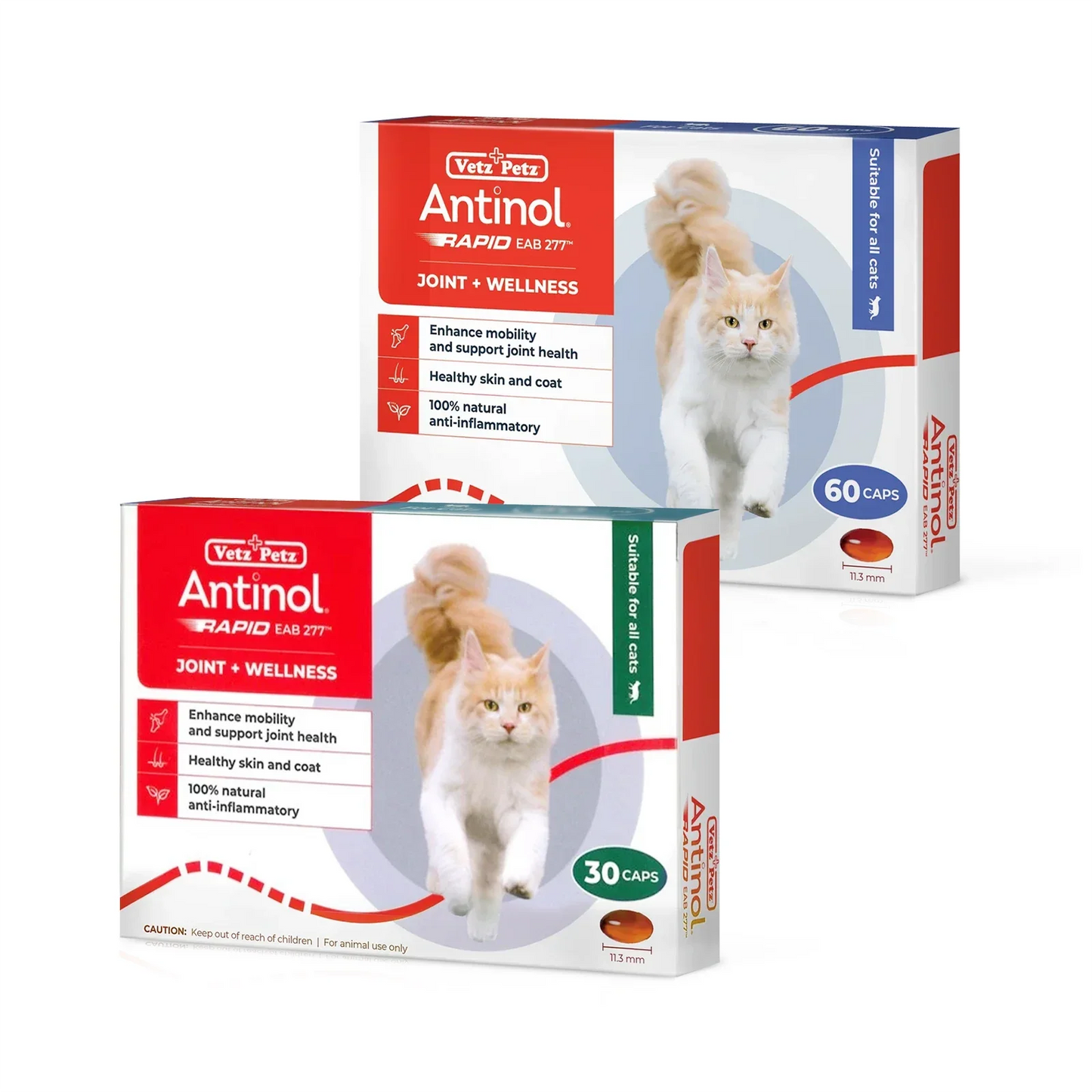 Antinol | RAPID Soft Gel Capsule (Joint Supplement for Cats)