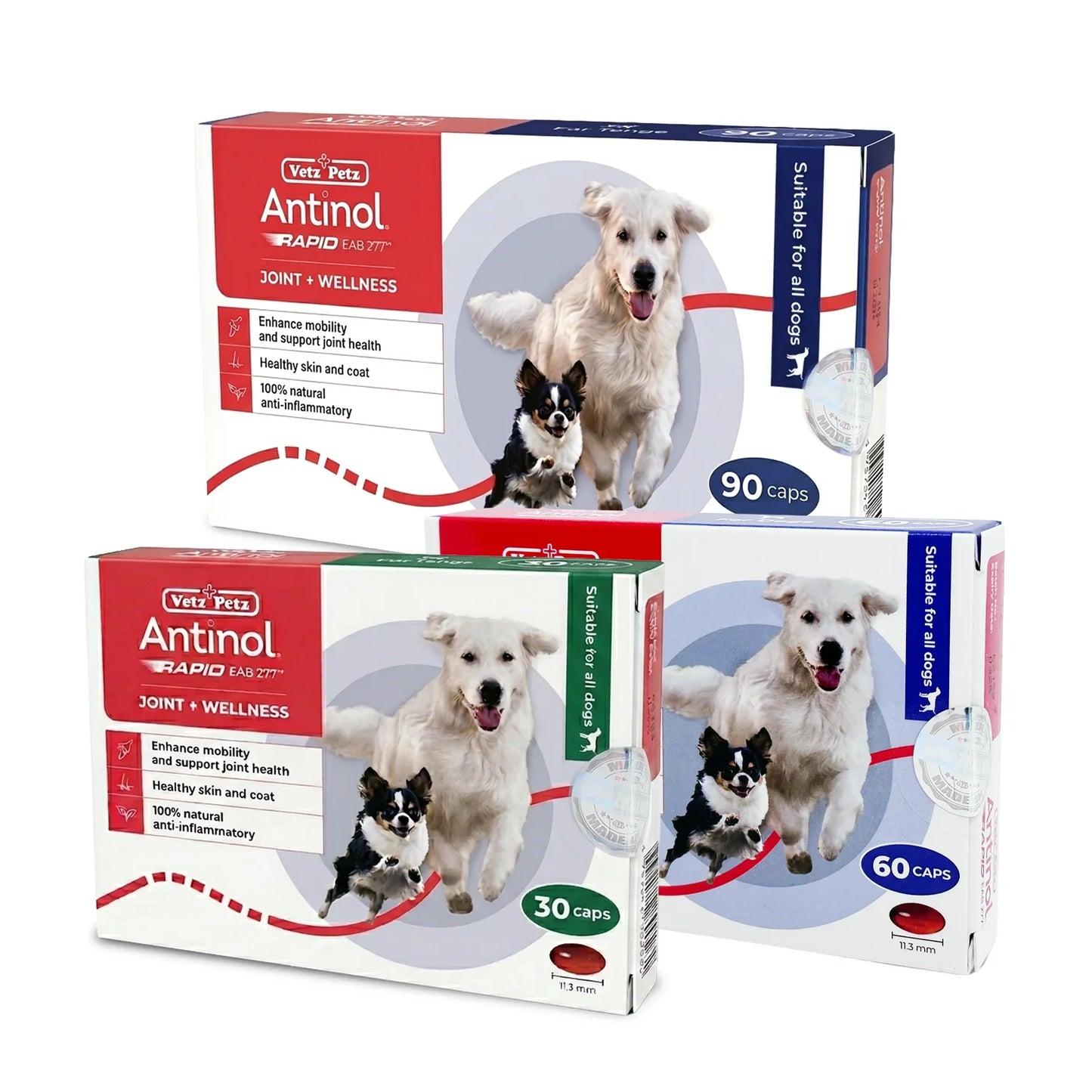 Antinol | RAPID Soft Gel Capsule (Joint Supplement for Dogs) | Vetopia