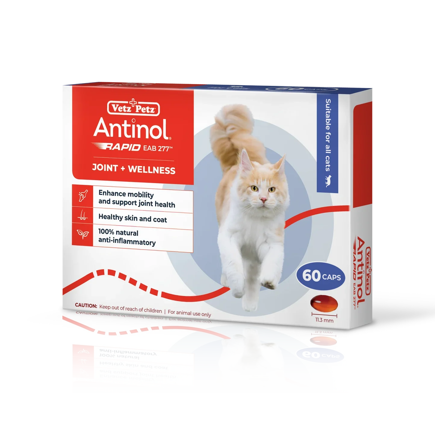 Antinol RAPID Soft Gel Capsule (Joint Supplement for Cats)